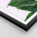 Plakat w ramie 30x40 - Zielone liście monstery - liście, monstera - rama czarna