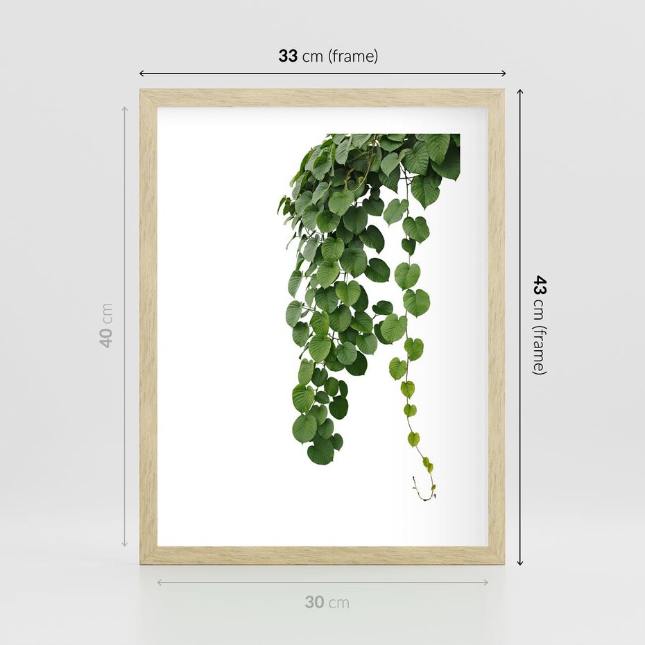 Plakat w ramie 30x40 - Świeżość Natury - liście, zielone - rama drewno