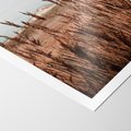 Plakat bez ramy 30x40 - Wysokie Trawy w Górskim Krajobrazie - suche trawy, wysokie trawy