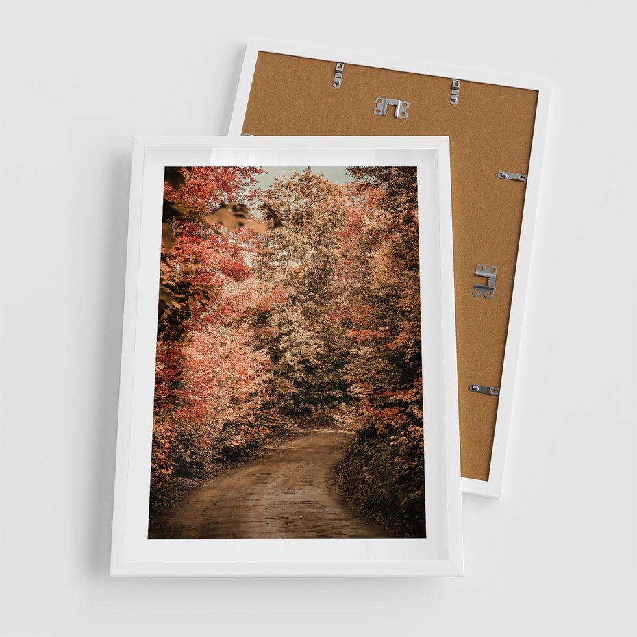 Plakat w ramie 50x70 - Obraz przedstawia jesienne drzewa i czerwone liście na ścieżce w lesie. Ta sceneria doskonale oddaje urok i kolorystykę jesieni w lesie. - las, jesień - rama biała