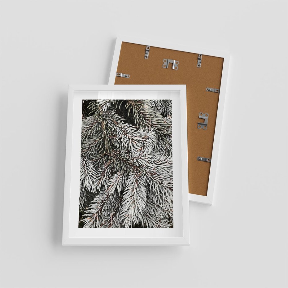 Plakat w ramie 30x40 - Cisza Zimowej Natury - zima, iglaste gałązki - rama biała