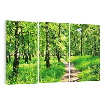 Obraz na płótnie 120x80 - odkryj piękno drzew - las, drzewa