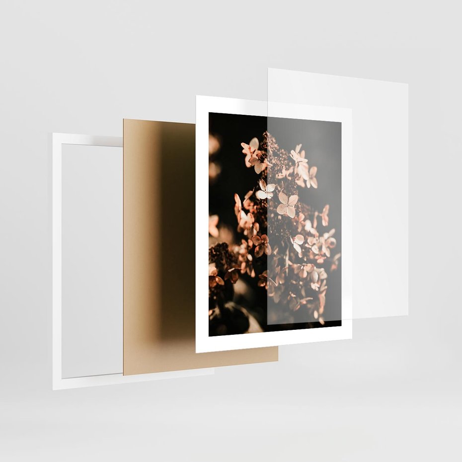 Plakat w ramie 40x50 - Hortensja - Suchy Kwiat w Sztuce - hortensja, suchy kwiat - rama biała