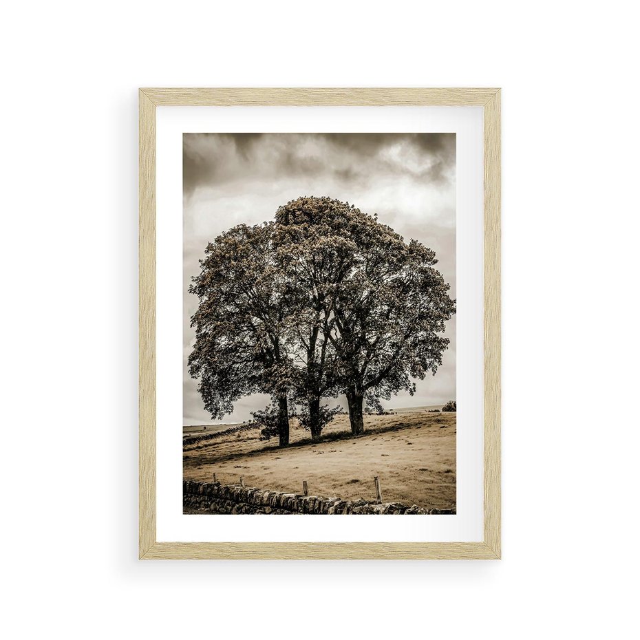 Plakat w ramie 30x40 - Spokojna Osamotniona Chwila - beżowe kolory, samotne drzewo na polu - rama drewno