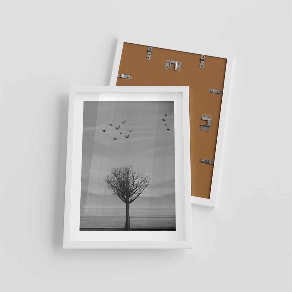 Plakat w ramie 30x40 - Samotne Drzewo - samotne drzewo w polu, czarno białe zdjęcie - rama biała