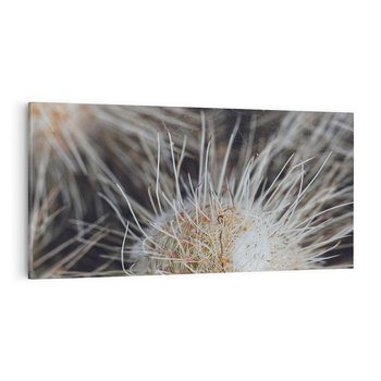 Obraz na płótnie 120x60 - Ulotna Piękność Natury - makro, dmuchawce