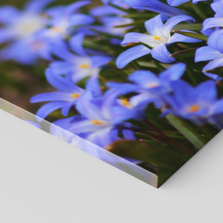 Obraz na płótnie 30x30 - Kwiatowy raj w naturze - kwiat, kwiaty