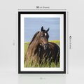 Plakat w ramie 30x40 - Siła i piękno natury - koń, łąka - rama czarna