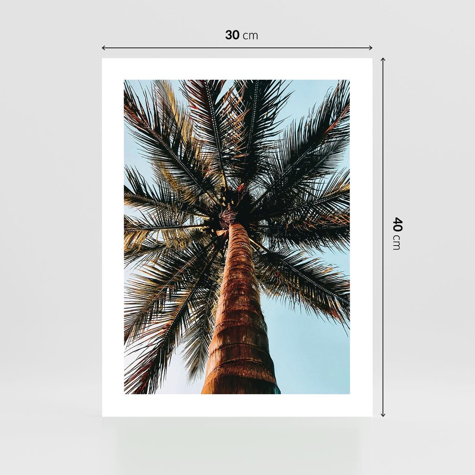 Plakat bez ramy 30x40 - Rajskie Inspiracje: Palma na Niebie - palma, na tle nieba