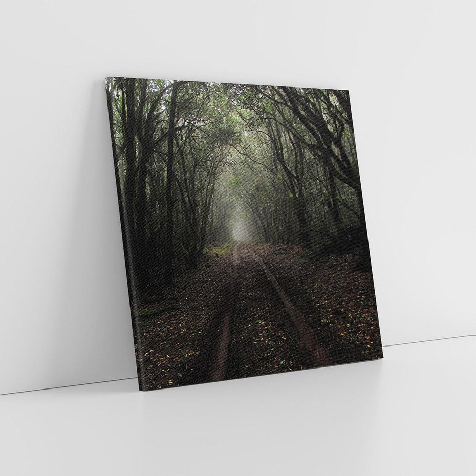 Obraz na płótnie 60x60 - Urok Drogi - las, droga