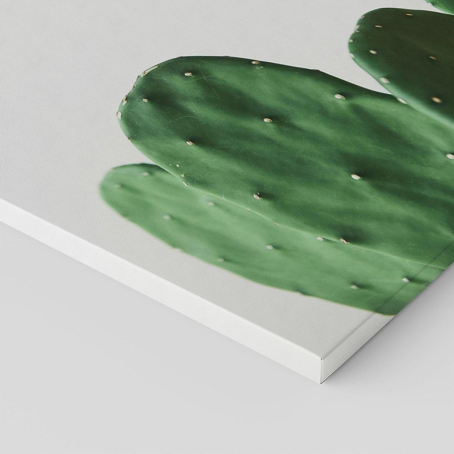 Obraz na płótnie 50x70 - Majestatyczne Wysokości - kaktusy, liście