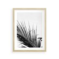 Plakat w ramie 30x40 - Sztuka Natury: Monochromatyczna Palma - palma, czarno białe zdjęcie - rama drewno