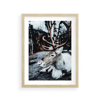 Plakat w ramie 40x50 - W Zimowej Krainie - renifer, zima - rama drewno