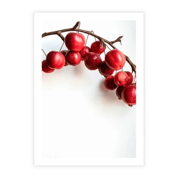 Plakat bez ramy 21x30 - Jesienne Owoce - jarzębina, czerwone owoce