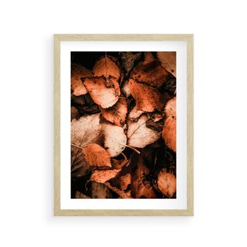 Plakat w ramie 30x40 - Jesienna Paleta - liście, jesień - rama drewno