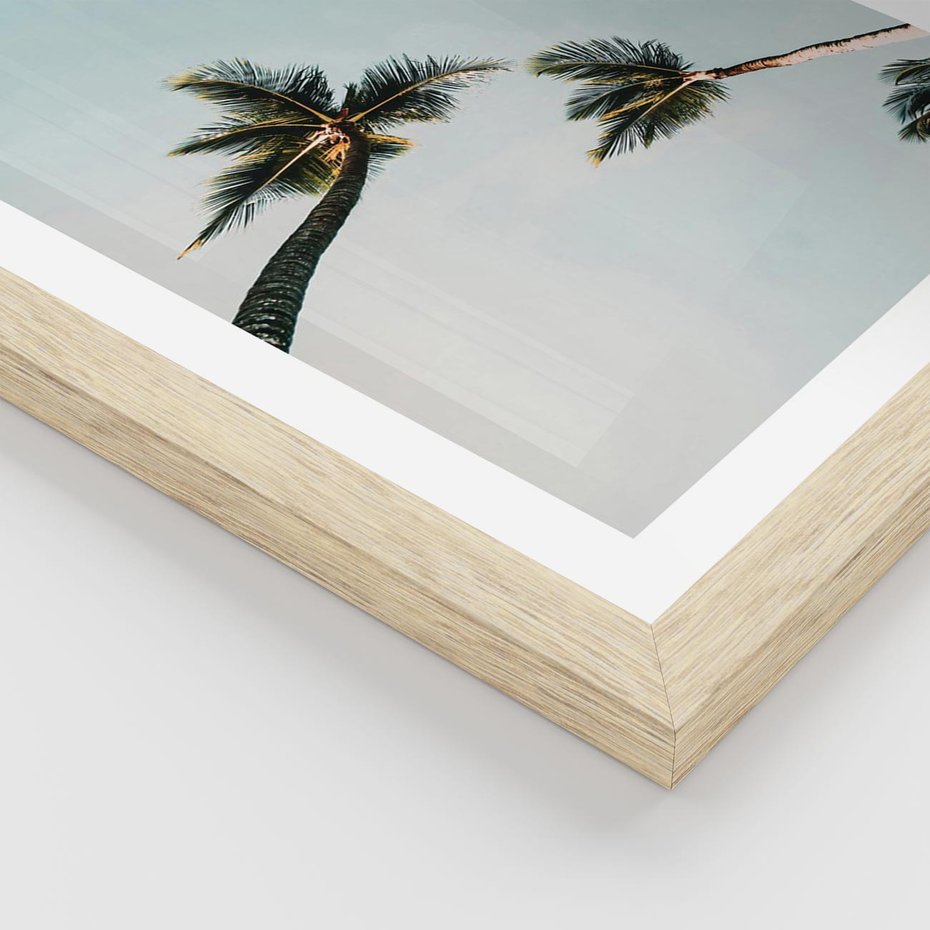 Plakat w ramie 30x40 - Palmy i Niebo - palmy, ujęcie z dołu - rama drewno