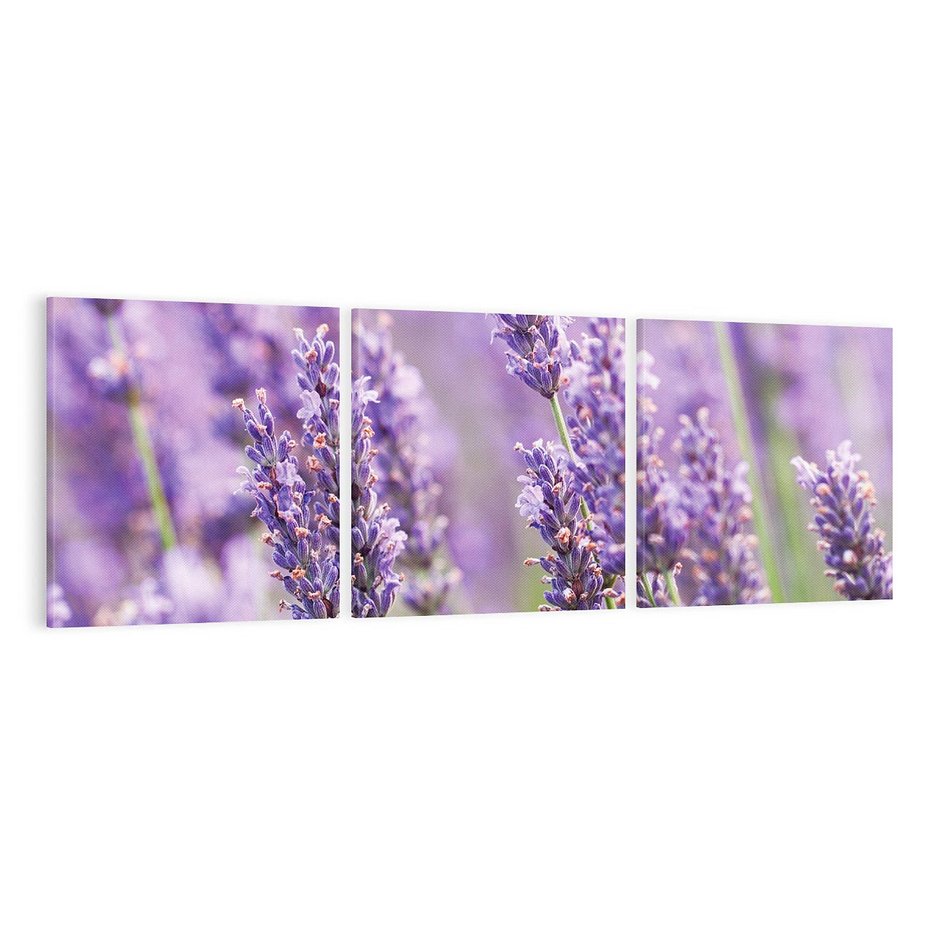 Obraz na płótnie 120x40 - Urok lawendy - lawenda, kwiaty