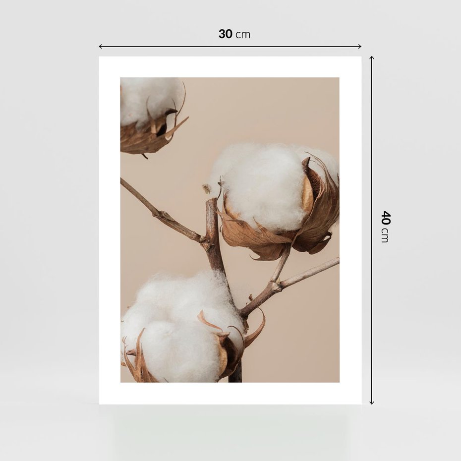 Plakat bez ramy 30x40 - Bawełniana melancholia - bawełna, suche