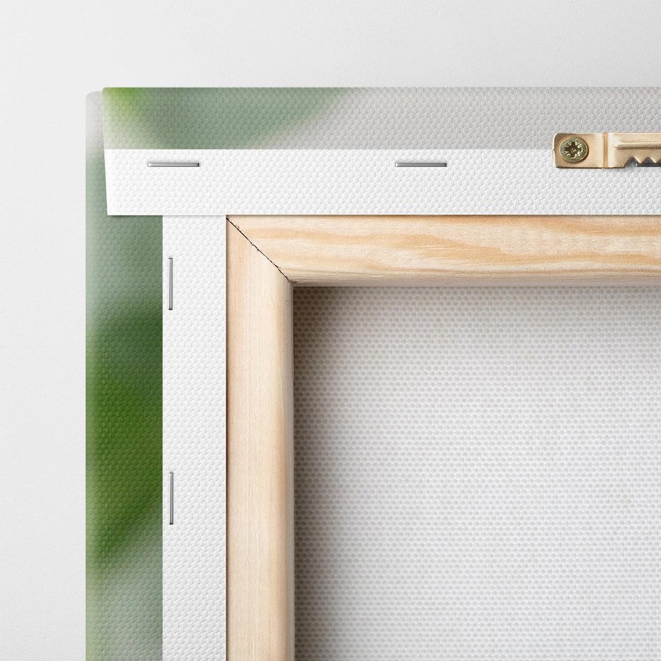 Obraz na płótnie 70x70 - Liście eukaliptusa w naturze - eukaliptus, liście