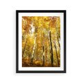 Plakat w ramie 40x50 - Jesienny Las - Kolorowa Paleta Natury - jesień, drzewa - rama czarna