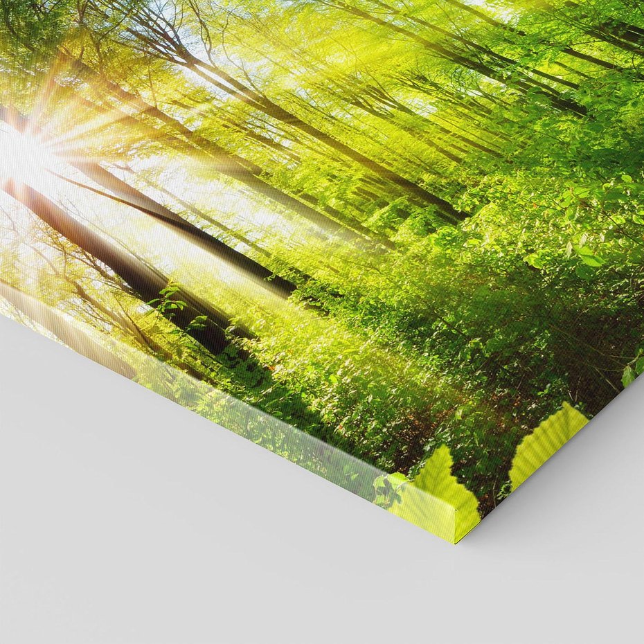 Obraz na płótnie 60x60 - Magia Leśnej Przyrody - las, drzewa