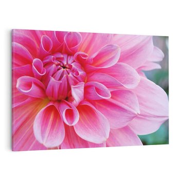 Obraz na płótnie 70x50 - Kwiatowy taniec różnorodność natury - kwiat, kwiaty