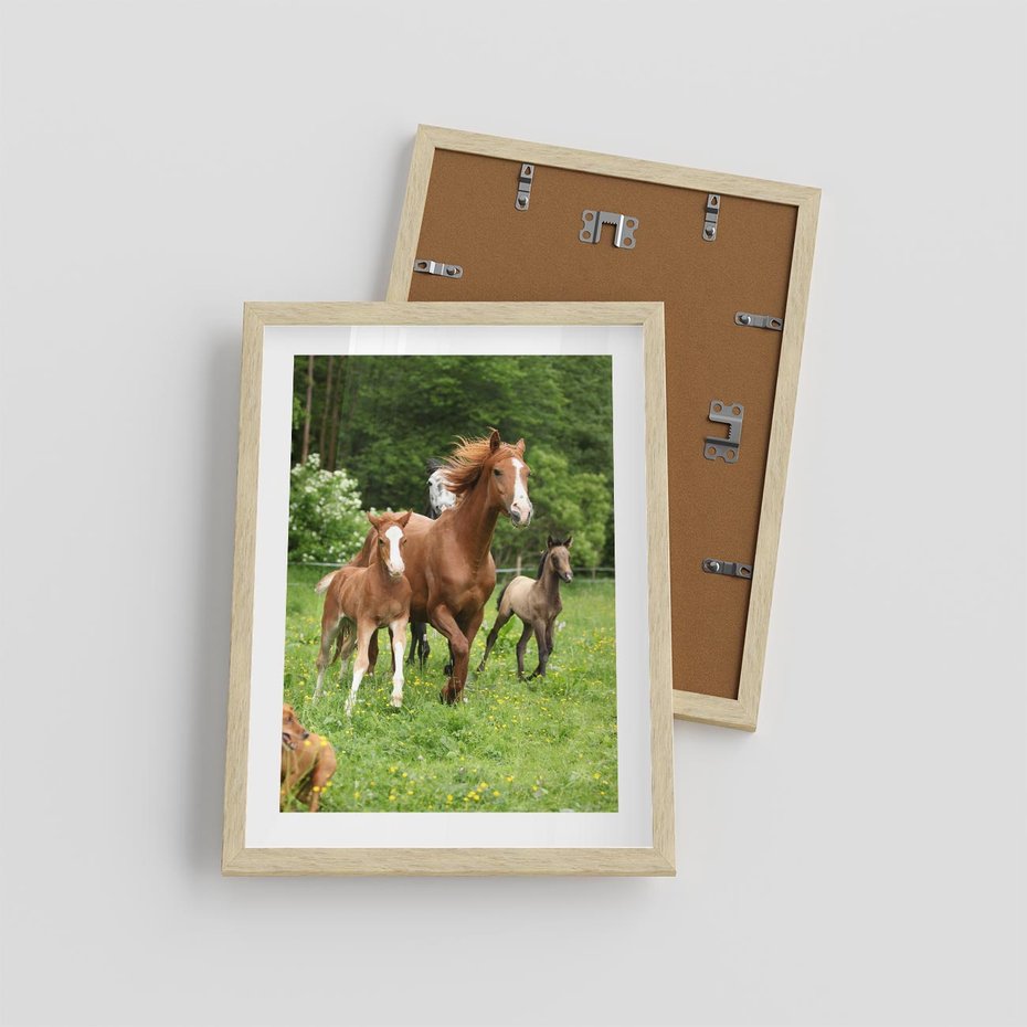 Plakat w ramie 30x40 - Galopujące konie - konie, galop - rama drewno