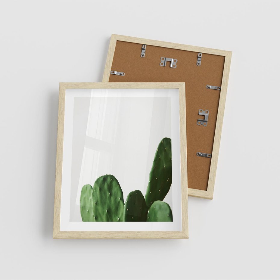 Plakat w ramie 40x50 - Minimalizm Natury - kaktus, zbliżenie - rama drewno