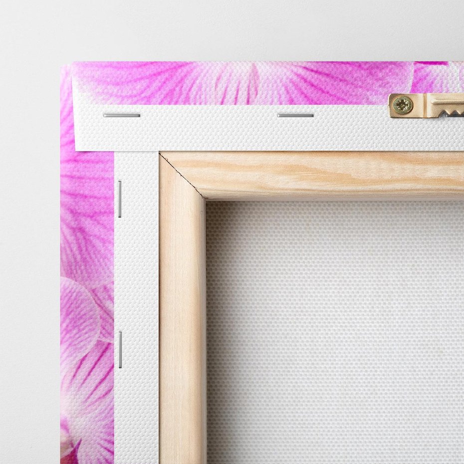 Obraz na płótnie 80x80 - Elegancka orchidea w pełnym rozkwicie - orchidea, kwiat