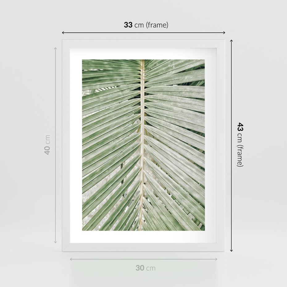 Plakat w ramie 30x40 - Jasna Zieleń Palmy - liść palmy, zbliżenie - rama biała
