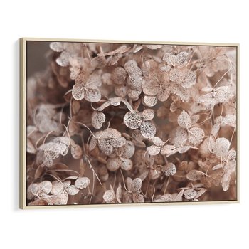 Obraz w ramie 120x80 - Przemijająca Piękność - fotografia, zbliżenie - rama drewno