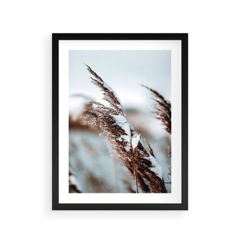Plakat w ramie 30x40 - Zima na Suchych Trawach - suche trawy, śnieg wysokich na trawach - rama czarna
