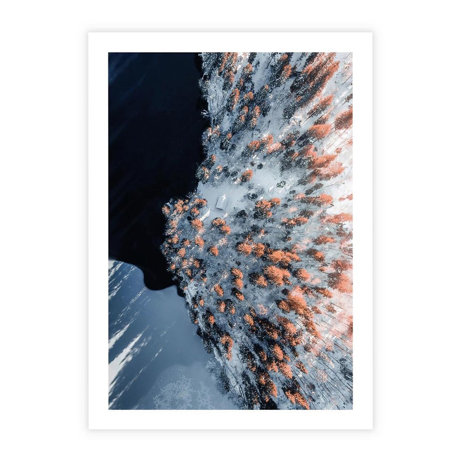 Plakat bez ramy 21x30 - Lot Ptaka - zima, zimowy krajobraz