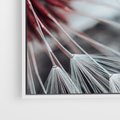 Obraz w ramie 50x50 - Makro świat dmuchawca - dmuchawiec, makro - rama biała