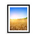 Plakat w ramie 40x50 - Żyzne Pola - pole, pszenicy - rama czarna