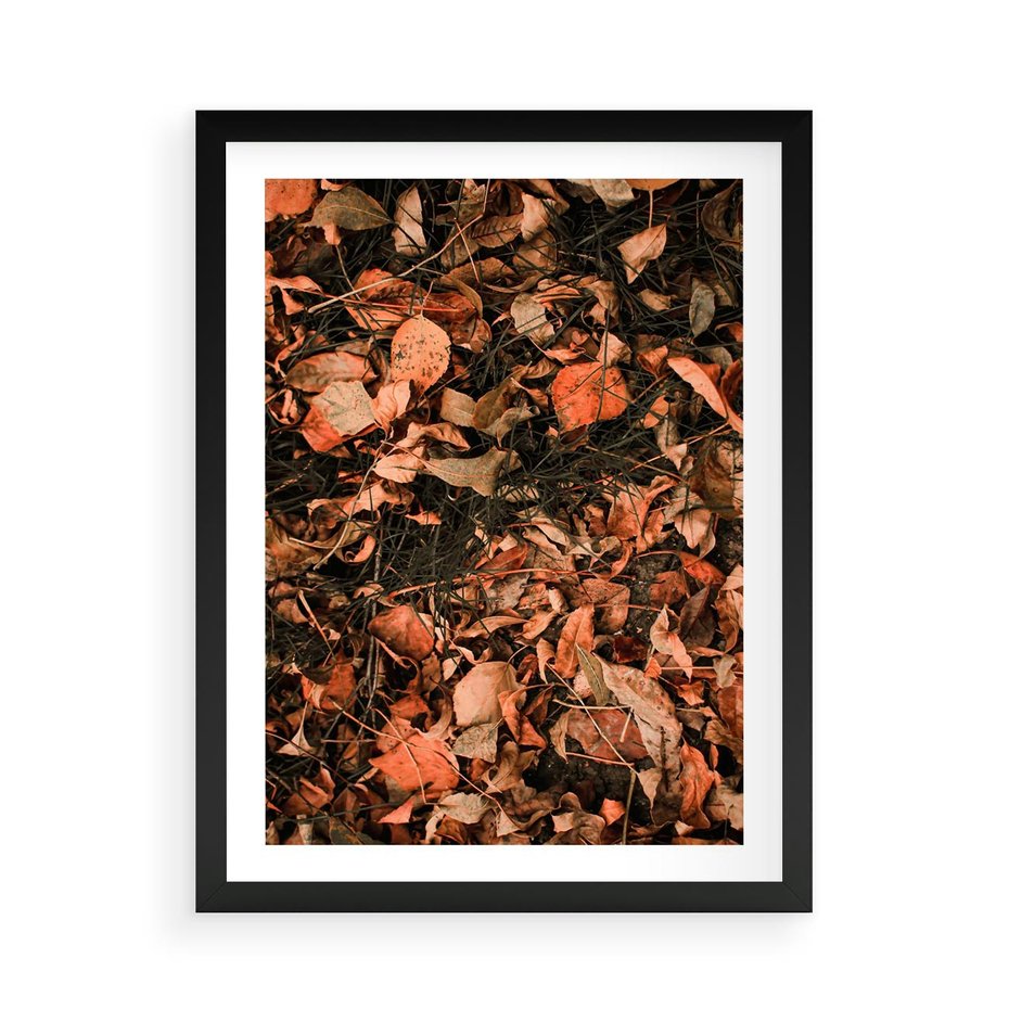 Plakat w ramie 50x70 - Jesienny Splot: Pomarańczowe Liście - liście, pomarańczowe suche liście - rama czarna