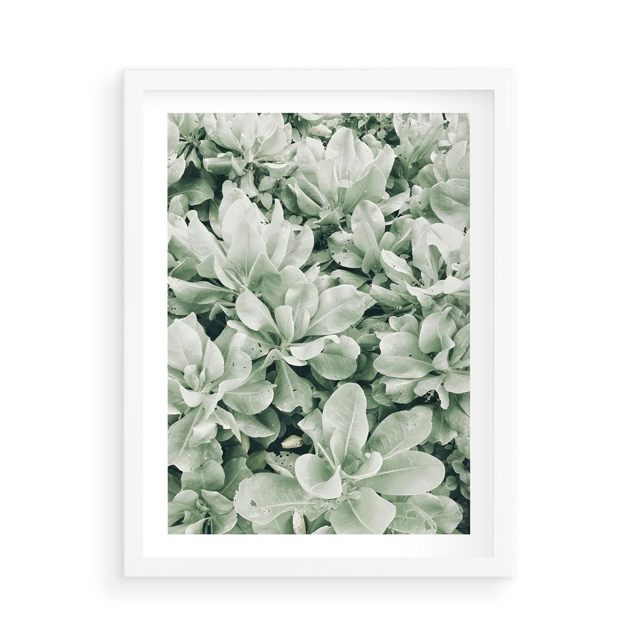 Plakat w ramie 50x70 - Liście w Jasnych Odcieniach Zielonego - liście, jasna zieleń fotografia - rama biała
