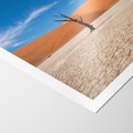 Plakat bez ramy 30x40 - Słońce i Suche Drzewo - pustynia, suche