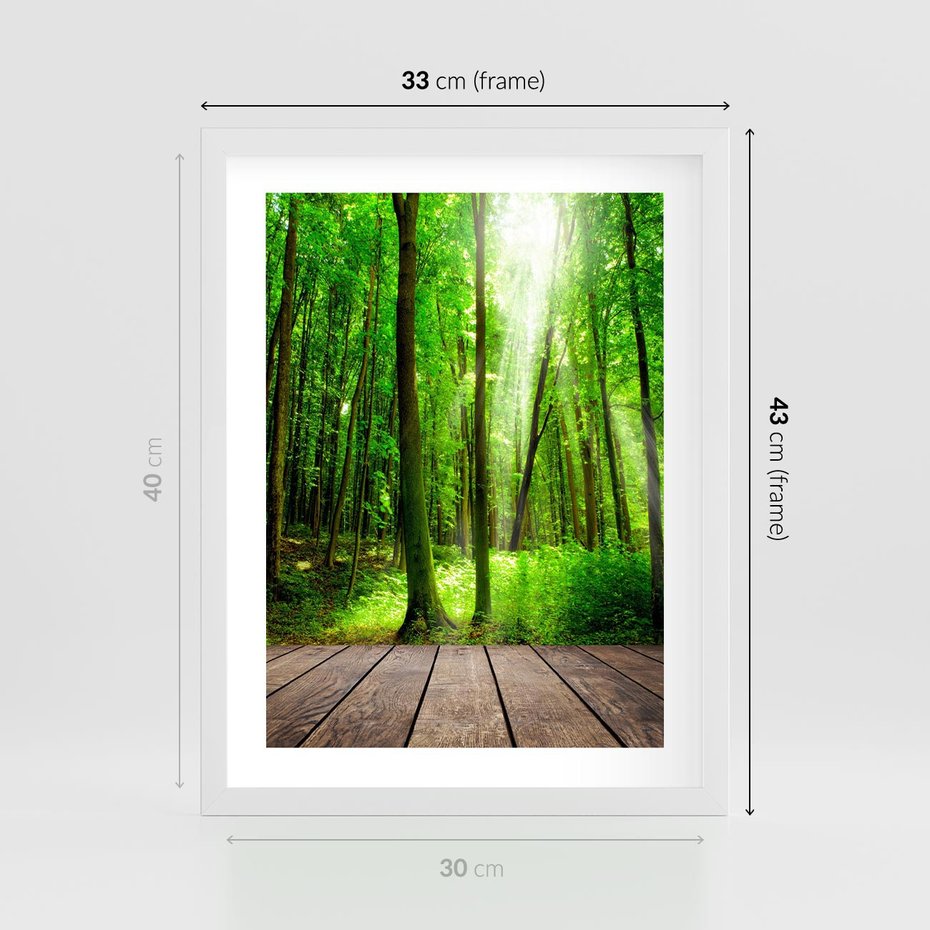 Plakat w ramie 30x40 - Spacer po urokliwej dróżce w lesie - las, dróżka - rama biała