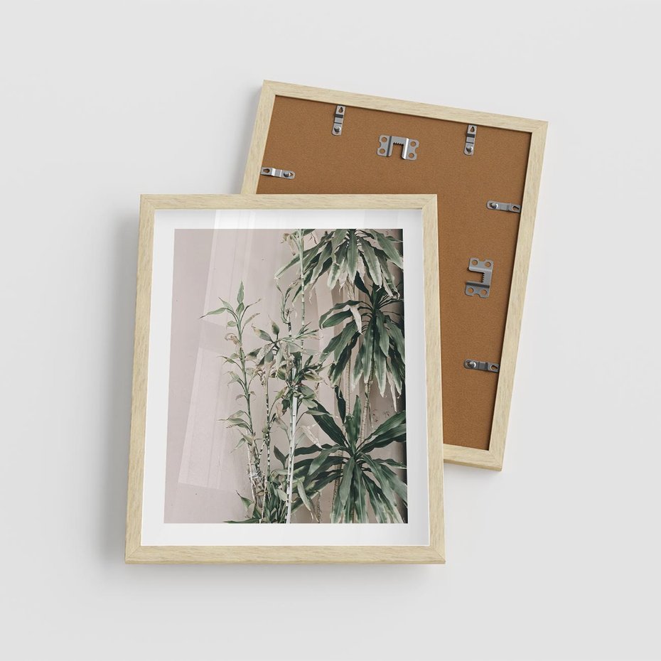Plakat w ramie 40x50 - Egzotyczna Kompozycja - liście, rośliny tropikalne na tle ściany - rama drewno