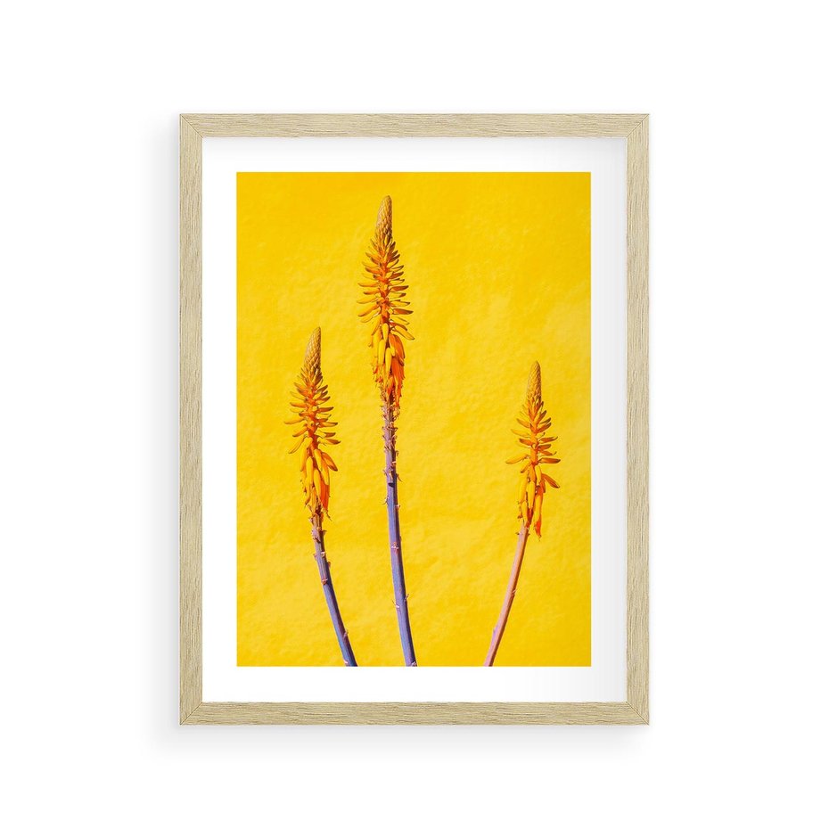 Plakat w ramie 30x40 - Radość Natury - kolor, kwiaty - rama drewno