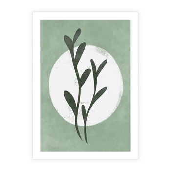 Plakat bez ramy 21x30 - Kształty Zielonego Ukojenia - zielony plakat, roślinne motywy