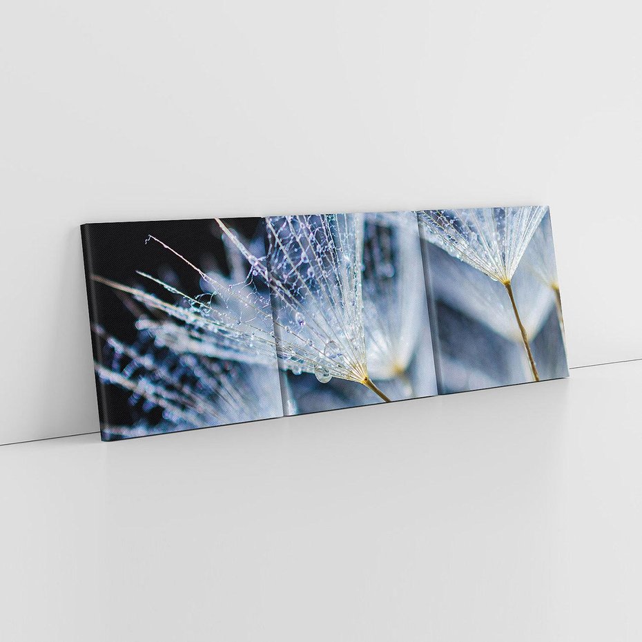 Obraz na płótnie 120x40 - Makro piękno dmuchawców - makro, dmuchawce