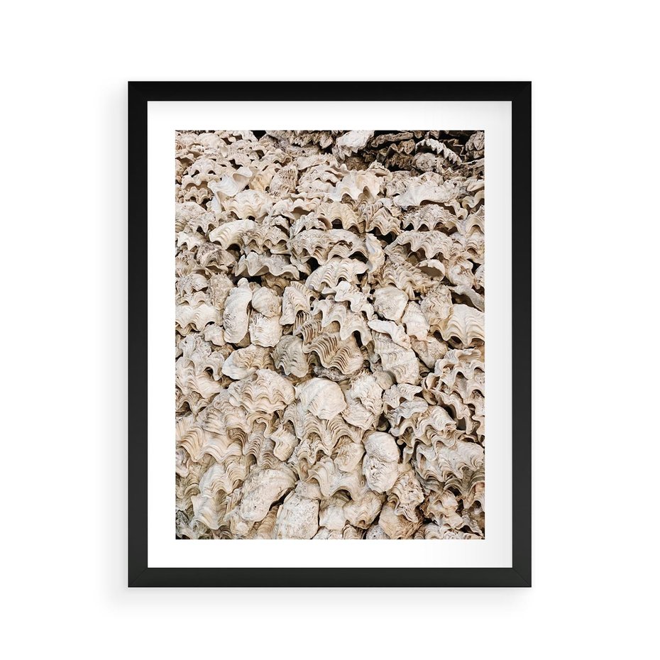Plakat w ramie 40x50 - Symfonia Natury - kompozycja z białych muszli - rama czarna