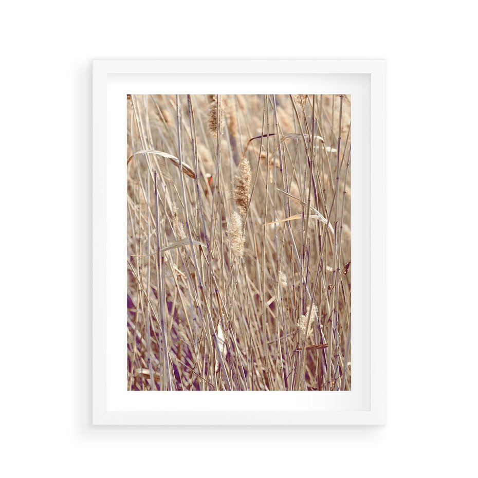 Plakat w ramie 40x50 - Suche Trawy w Wyjątkowym Stylu - suche trawy, boho styl - rama biała