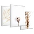 Zestaw obrazy w ramie 50x70 galeria - Boho, trawy, suche - rama biała