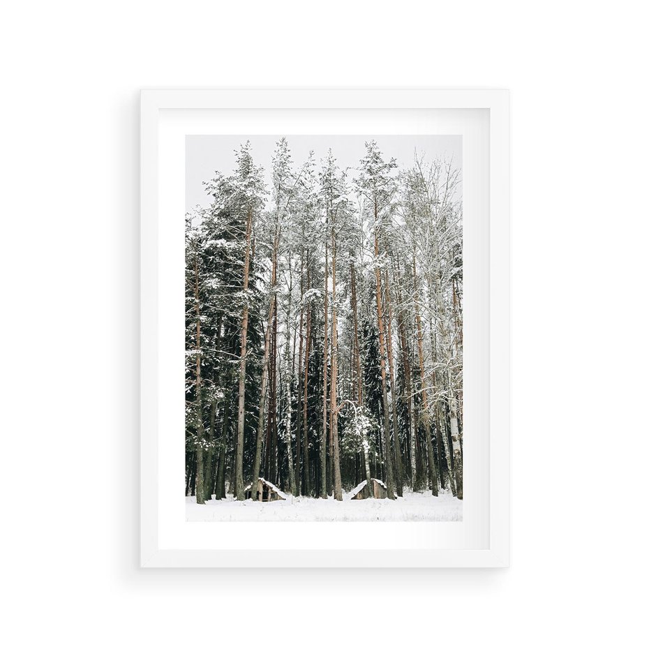 Plakat w ramie 30x40 - Sypiący Śnieg - las w zimie, drzewa pod śniegiem - rama biała