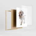 Plakat w ramie 30x40 - Szczeniak pełen radości - piesek, szczeniak - rama drewno