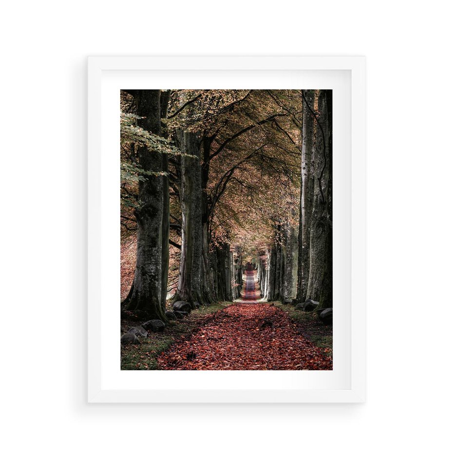 Plakat w ramie 40x50 - Spacer po Leśnej Drodze - ścieżka w lesie, jesień suche liście - rama biała