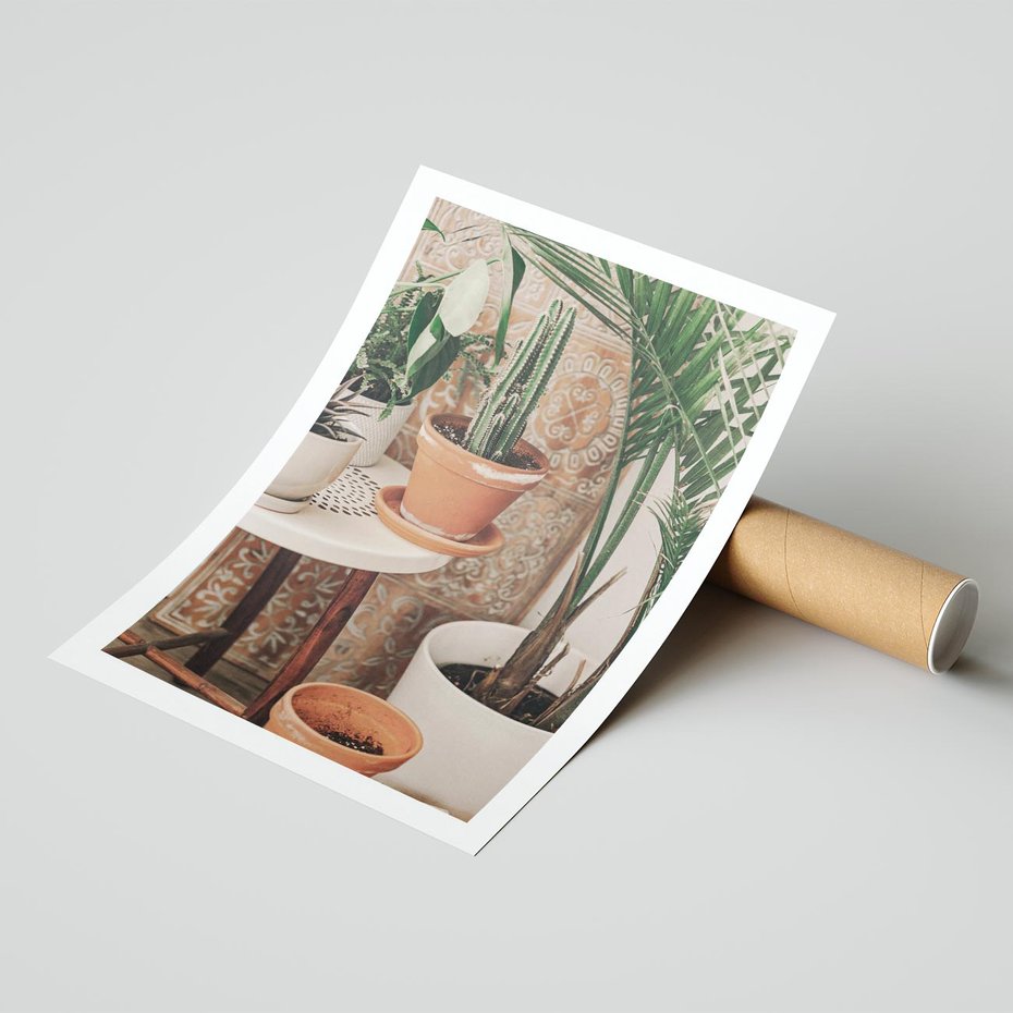 Plakat bez ramy 21x30 - Boho Oaza: Kaktusy w Doniczkach - rośliny kaktusy w doniczkach, boho wnętrze